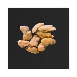 Mussels Meat