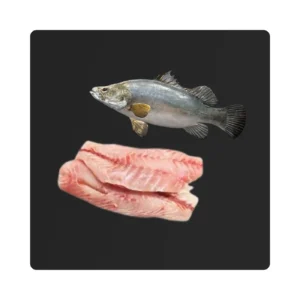 Nile Purch Fillet