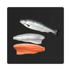 Salmon Fillet