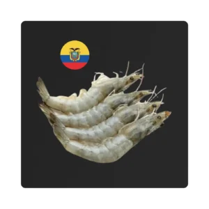 Ecuador Shrimps