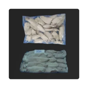 Frozen Squid Whole