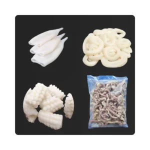 Frozen Squid Parts