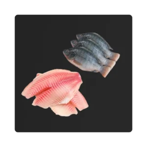 Tilapia Fillet